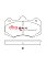 DBA Race Performance Brake Pads 149.1mm x 86.4mm DB1937RP - Front