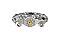 DBA Brake Caliper DBAC1536 - Rear