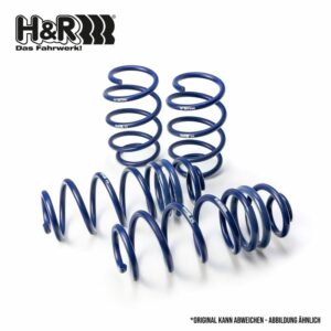 Audi R8 5.2 V10 H&R Lowering Spring Set
