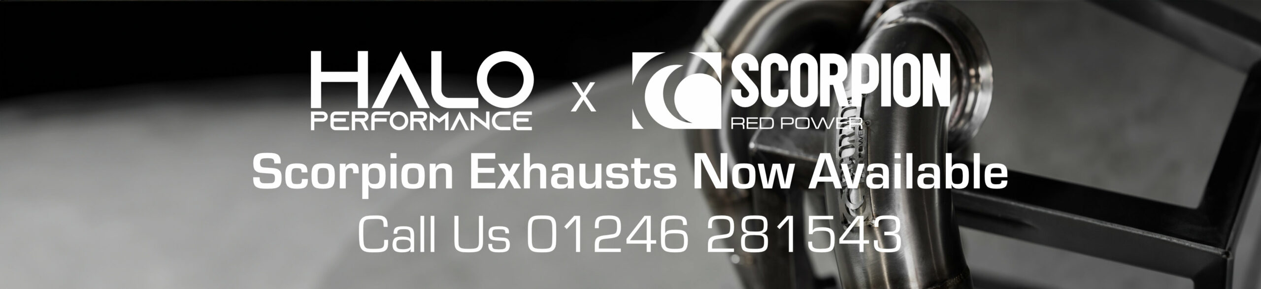 Halo x Scorpion